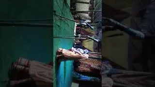 Maa Ganga Nratya Natika Group Shuklaganj Kanpur