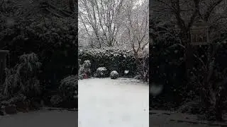 Snow madrid