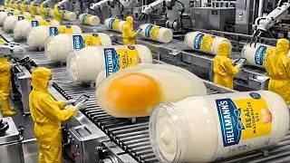 Inside the Largest U.S. Factory: How Real Hellmann’s Mayonnaise Is Made (Full Process)