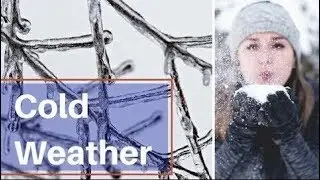 Heating Maintenance and San Antonio Home Management: Check Your Furnace!
