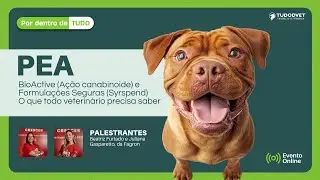 POR DENTRO DE TUDO - PEA BioActive&reg; a&ccedil;&atilde;o canabinoide e formula&ccedil;&otilde;es seguras com Syrspend&reg;!