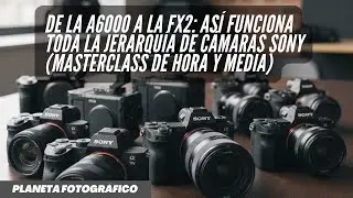 De la A6000 a la FX2: así funciona toda la jerarquía de Cámaras Sony (masterclass de hora y media)
