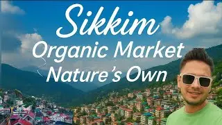 Exploring Gangtok Organic Market & Best Scenic Views | Gangtok Sikkim Vlog #sikkim #gangtok #tour 