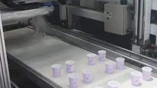 Custom plastic yogurt cup