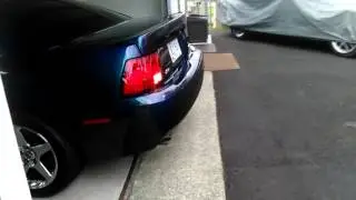 Mystic Chrome Ford Cobra (2)