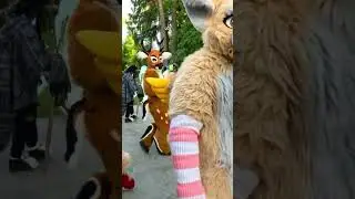 ПОТИСКАЙ #furry #fursuit #antro #фурри #фурсьют #реакция #Фоксвуд #FoxWood