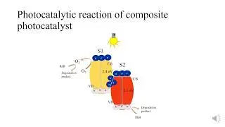 Degradation of organic pollutants by graphitic carbon nitride photocatalysts under visible light