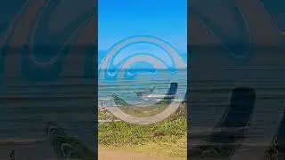 🌊🌞Ocean Vibes🪼&hearts;️ #amazing #california #beachvibes #chillvibes #explore #vacation #timetravel #usa