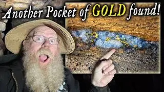 Another New Pocket of Gold! - At The Blue Chip Mine!