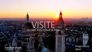 Parc Zoologique de Paris : Visite Virtuelle