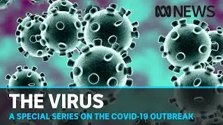 The Virus: An in-depth look at the coronavirus crisis | ABC News