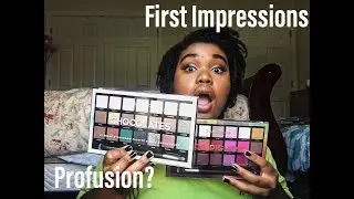Profusion Eyeshadow Palette Review (New Target Makeup)