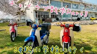 スーパーカブ　チョイカブ散歩Part3 JA59 JA44【モトブログ】#36