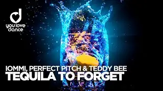 IOMMI, Perfect Pitch & Teddy Bee &ndash; Tequila To Forget