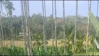 @BusharaT21 Hi