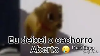 Genti 🥲 | meme | ROBLOX