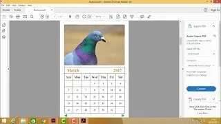Adobe InDesign - Buttons