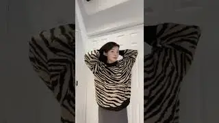 Sanctuary Wild Kingdom Zebra Animal Print Sweater