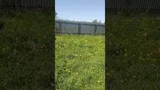 Расплата за вписку