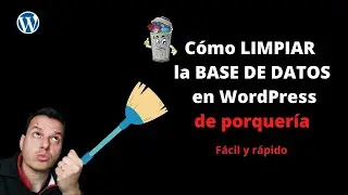 LIMPIAR BASE DE DATOS en Wordpress Fácil y Rápido