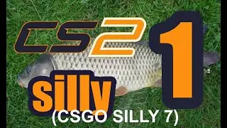 cs2 sillies