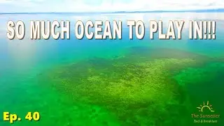 Ep. 40 SO MUCH OCEAN TO PLAY IN, BOCAS DEL TORO!