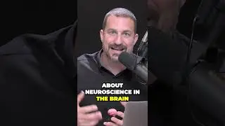 💪The Power of Oxytocin Unveiling the Science of Human Bonds💪