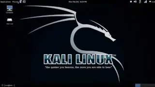 Глушение Wi-Fi и &laquo;злой двойник&raquo; в Kali Linux