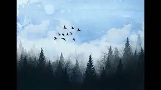 Misty Pines & Silent Flight &ndash; Relaxing Forest Wallpaper | Calm Nature Background | T.V. Wallpaper 