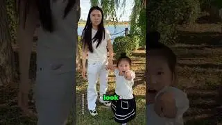 Какая огромная лягушка! 😱🐸 #смешно