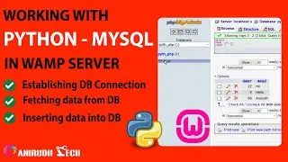 Python-MySQL database connection in WAMP server