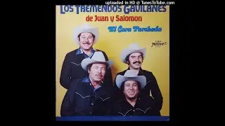 Los Tremendos Gavilanes - El Cara Parchada (Disco Completo)
