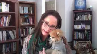 Animals and Human Soul Condition