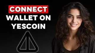 How to Connect Wallet on Yescoin (2024)