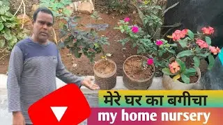 Built a Home Rose Nursery | मेरे घर का बगीचा |my home rose nursery