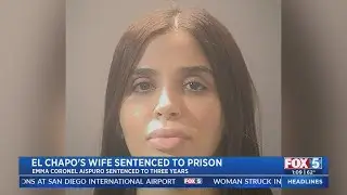Wife Of Drug Kingpin 'El Chapo' Sentenced On US Charges