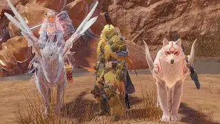 祝！毛玉兄貴にライトボウガンを教えてもらおう！