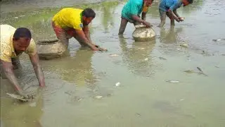 Amazing hand fishing in village with beautiful nature @ABTVbd