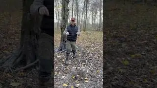 Die drehen uns die Kirrung um 🫣🐗🌿 - die Wildschweine bekommen nicht genug #jagd #jagen #sau