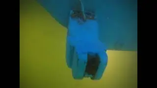Glacier Bay 1.14.26 Highlights 