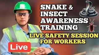 🐍 Snake & Insect Awareness Training | Live Safety Session for Workers