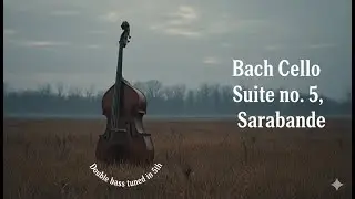 [5ths tuning] Bach cello suite no. 5, Sarabande