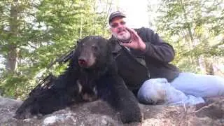 Spring Quebec Bear Hunt