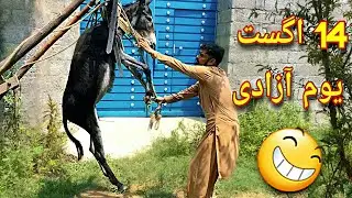 14 August Pashto Funny Video |  Pashto Funny Drama | BPV Star