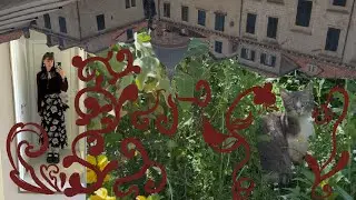 rome and dubrovnik - food, walking, and doing little jigs