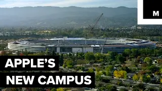 The 'Apple Park' spaceship campus