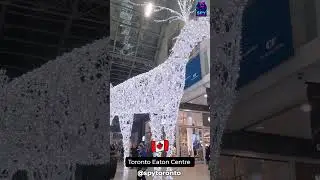 Eaton Centre Winter Magic #shorts #spytoronto #torontochristmas #christmasdecoration #eatoncentre