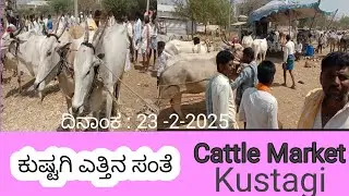 ಕುಷ್ಟಗಿ ಎತ್ತಿನ ಸಂತೆ  Cattle Market Kustagi  in Karnataka 23-2-2025