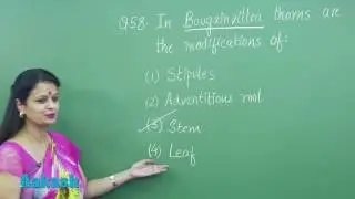 NEET UG 2017: Video Solution & Answer Key for Biology Question 58