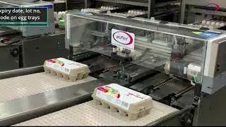 Egg Coding Solutions All Machines
